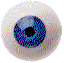 Eyeball